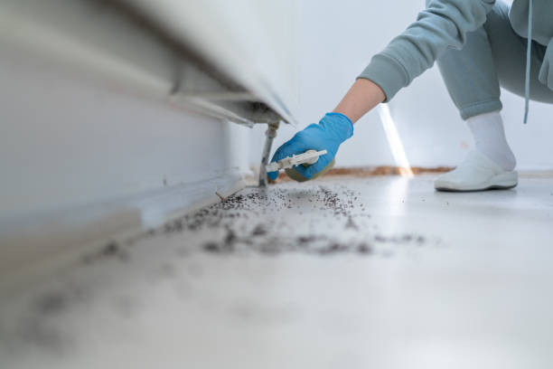 Pest Prevention Services in Effort, PA